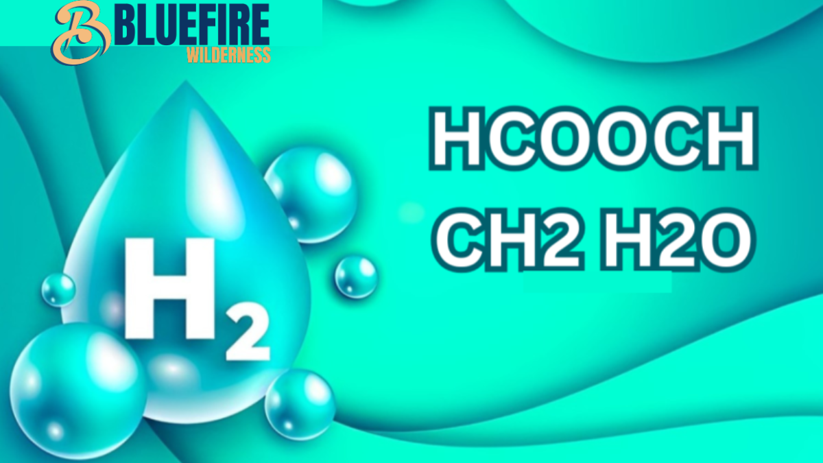 hcooch ch2 h2o